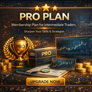 ⭐⭐ PRO PLAN
